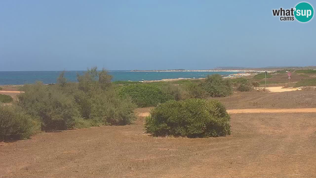 Plage Mari Ermi | Is Arutas – Oristano