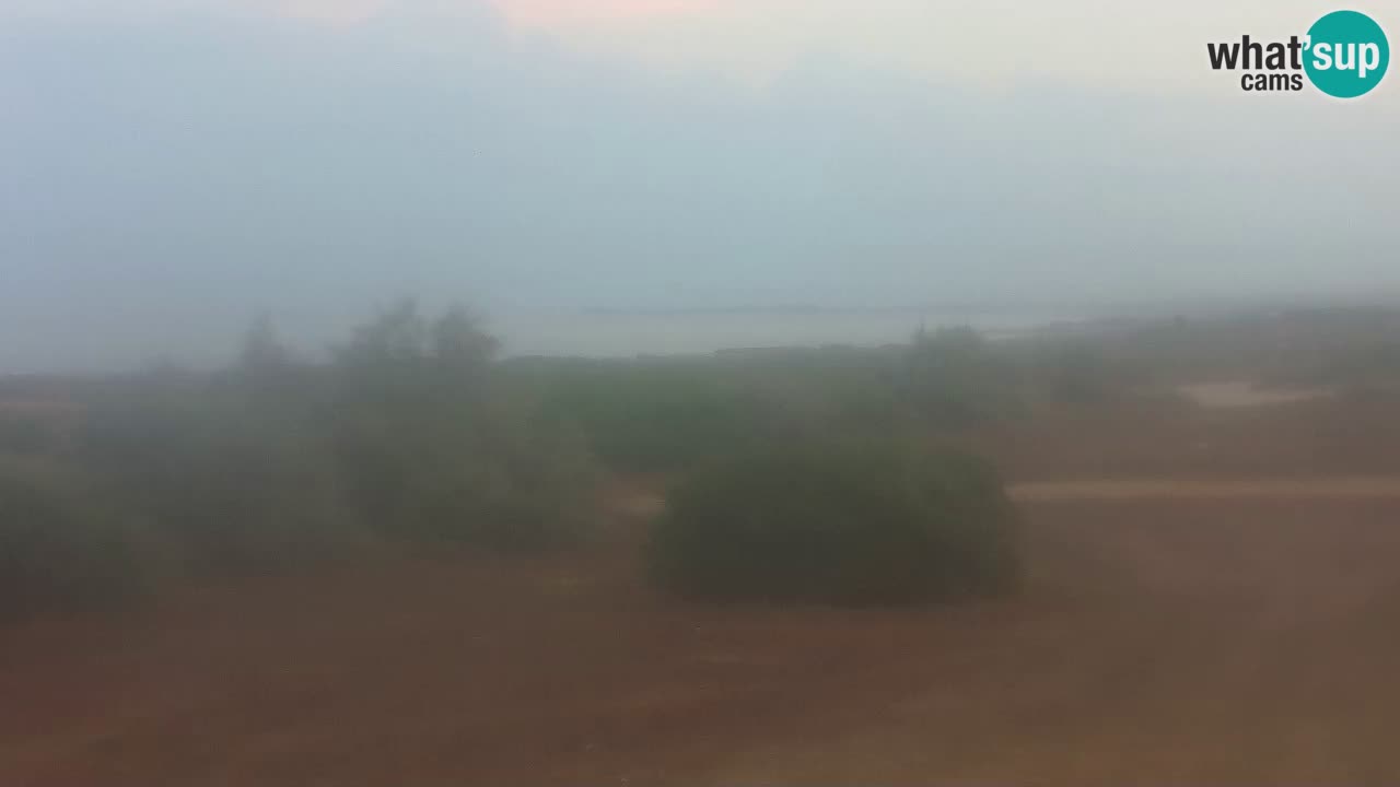 Playa Mari Ermi | Is Arutas – Oristano