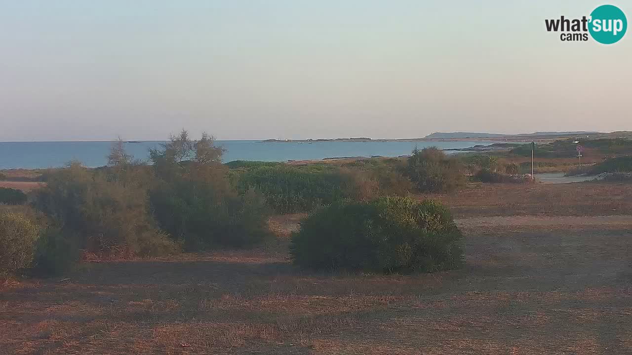 Playa Mari Ermi | Is Arutas – Oristano