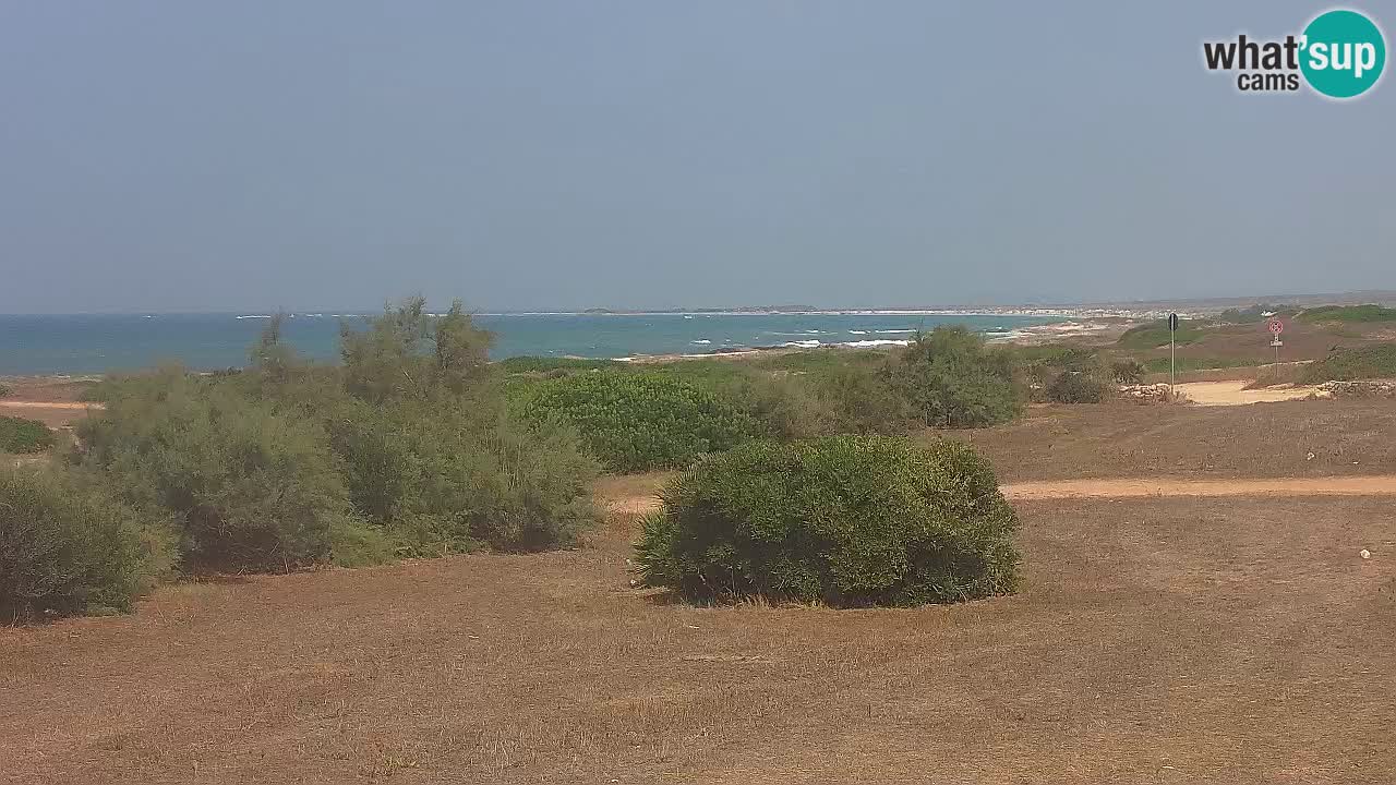 Mari Ermi Strand | Is Arutas – Oristano