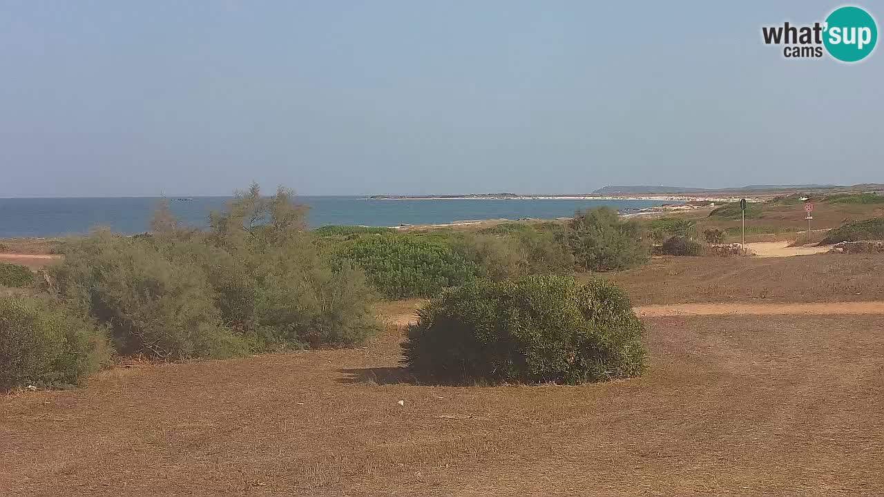 Mari Ermi Strand | Is Arutas – Oristano