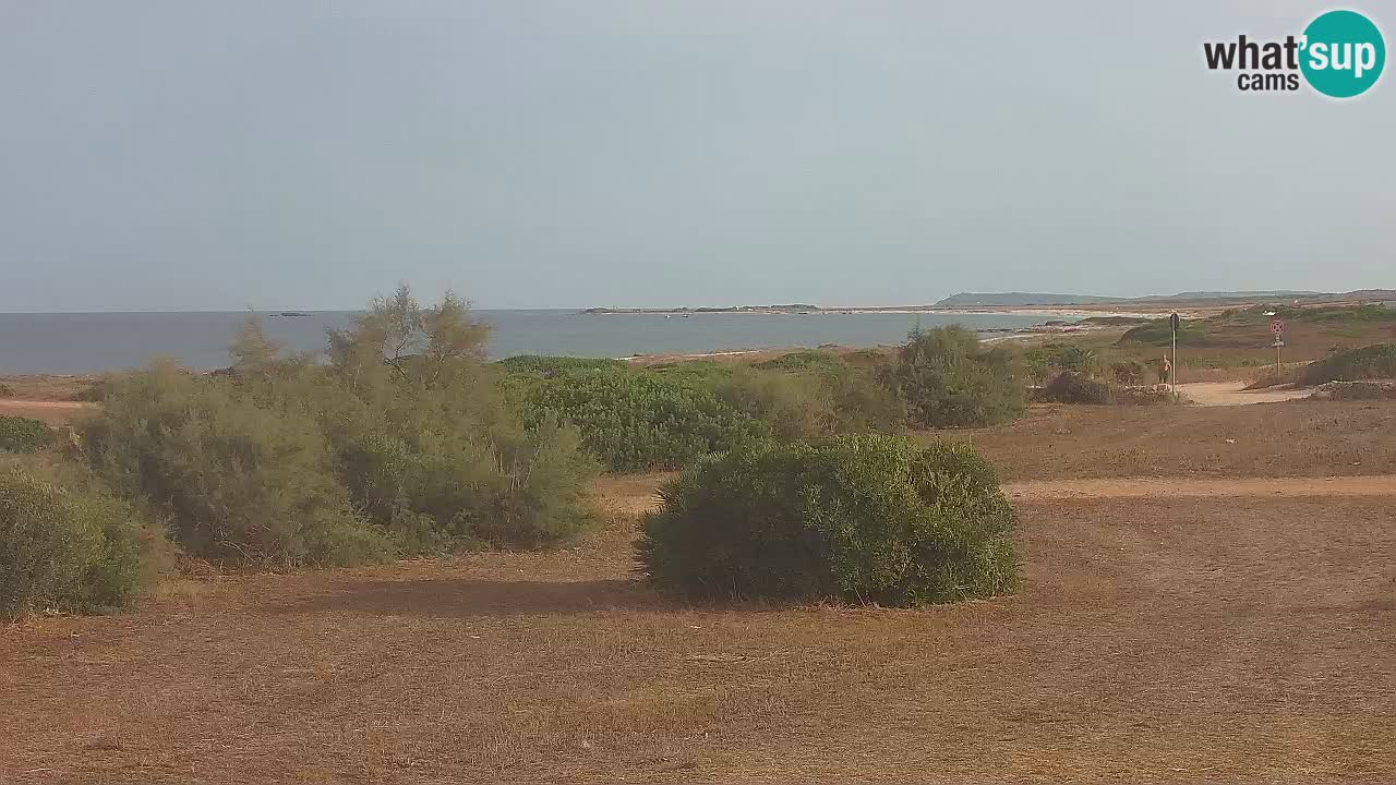 Plaža Mari Ermi | Is Arutas – Oristano