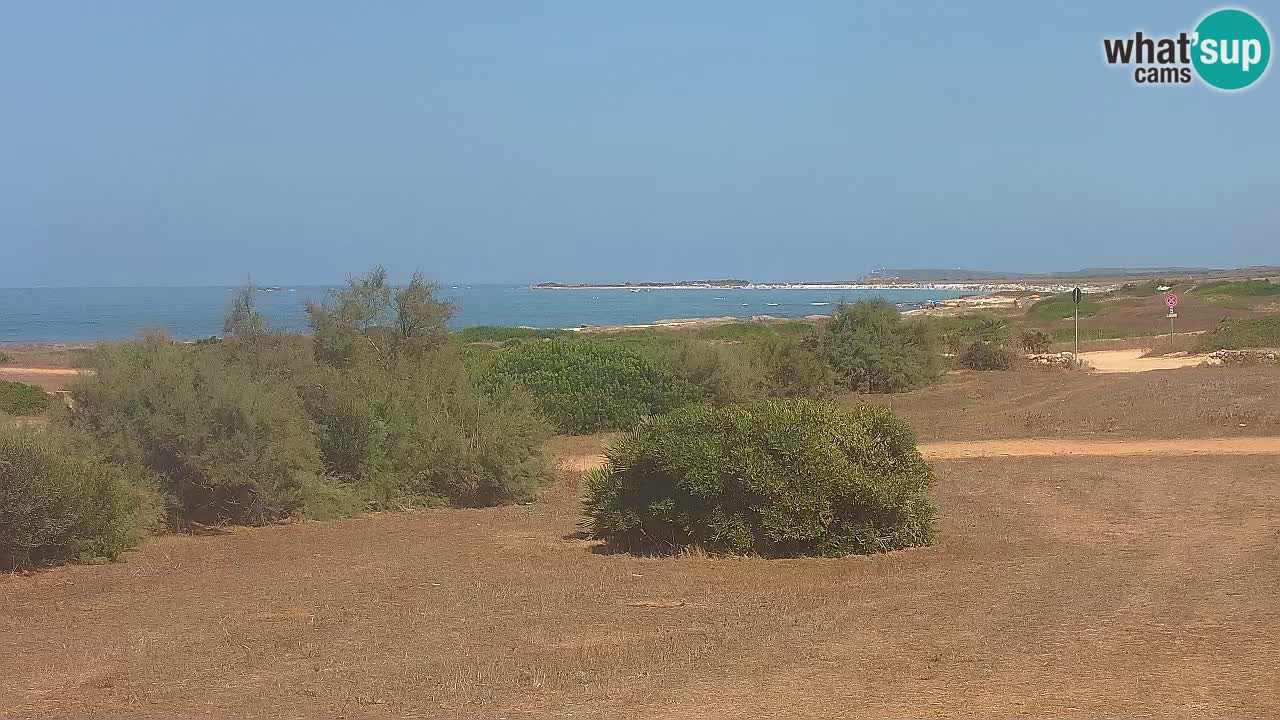 Playa Mari Ermi | Is Arutas – Oristano