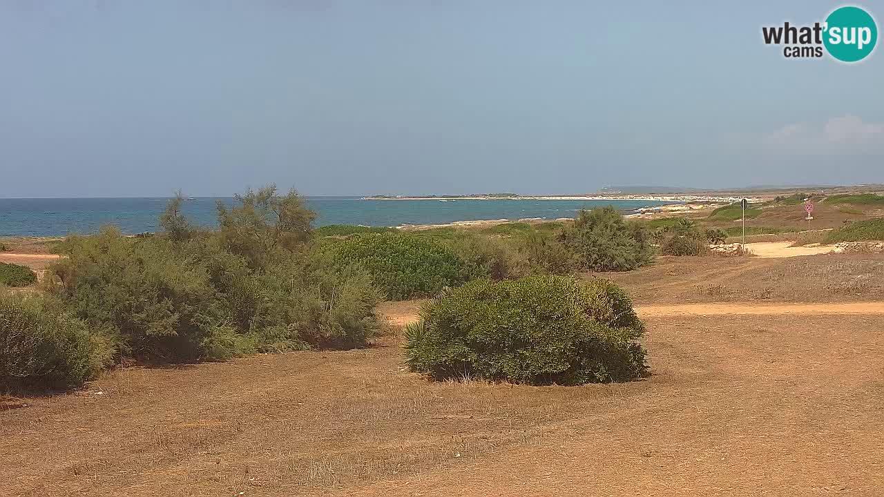 Plaža Mari Ermi | Is Arutas – Oristano