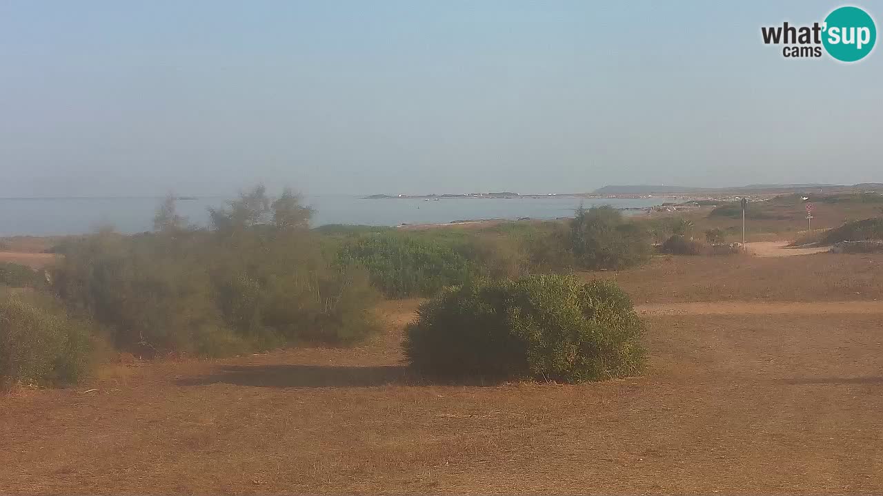 Mari Ermi Strand | Is Arutas – Oristano
