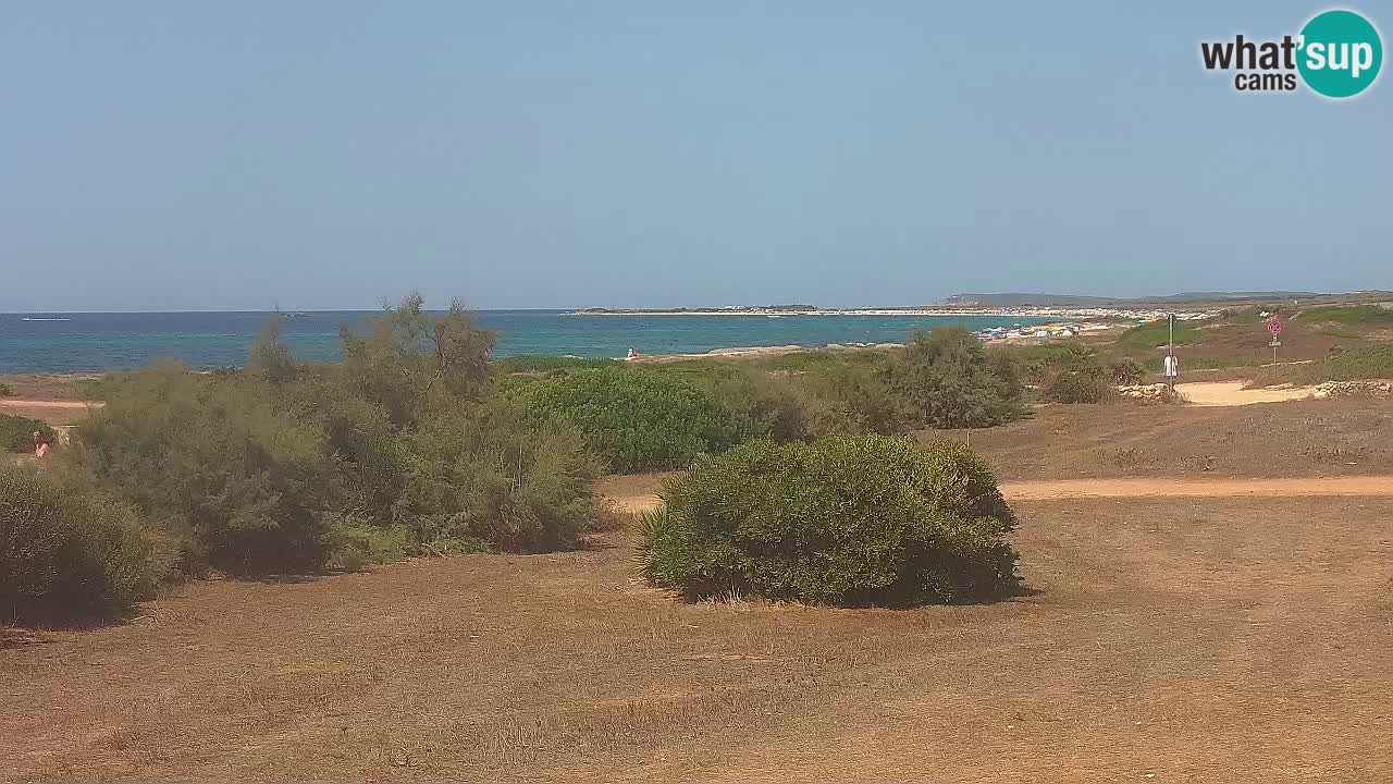 Mari Ermi Strand | Is Arutas – Oristano