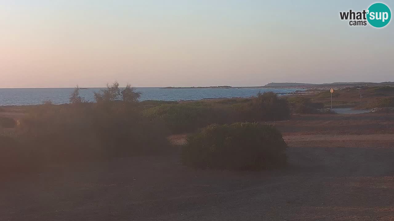Mari Ermi Strand | Is Arutas – Oristano