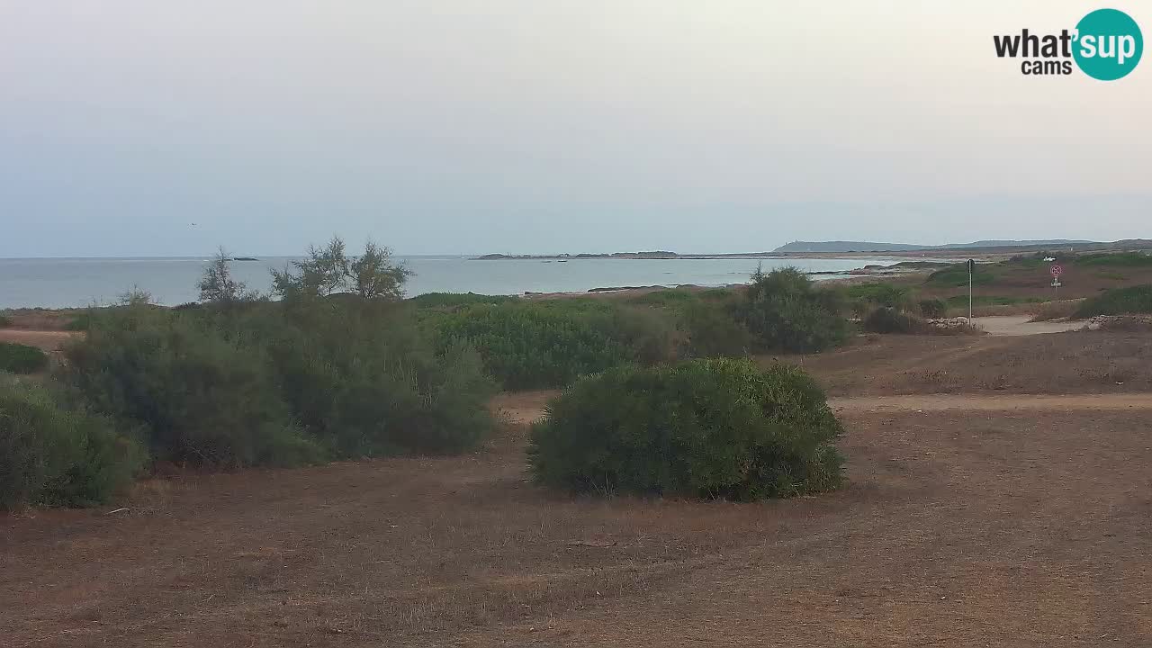 Playa Mari Ermi | Is Arutas – Oristano