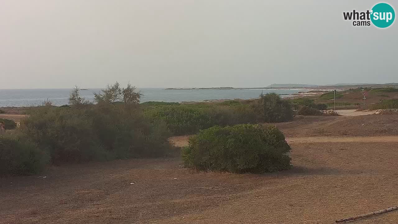 Mari Ermi Strand | Is Arutas – Oristano