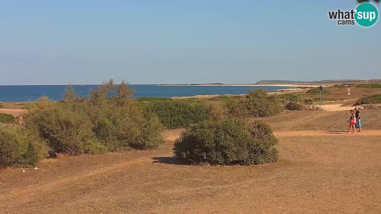 Playa Mari Ermi | Is Arutas – Oristano