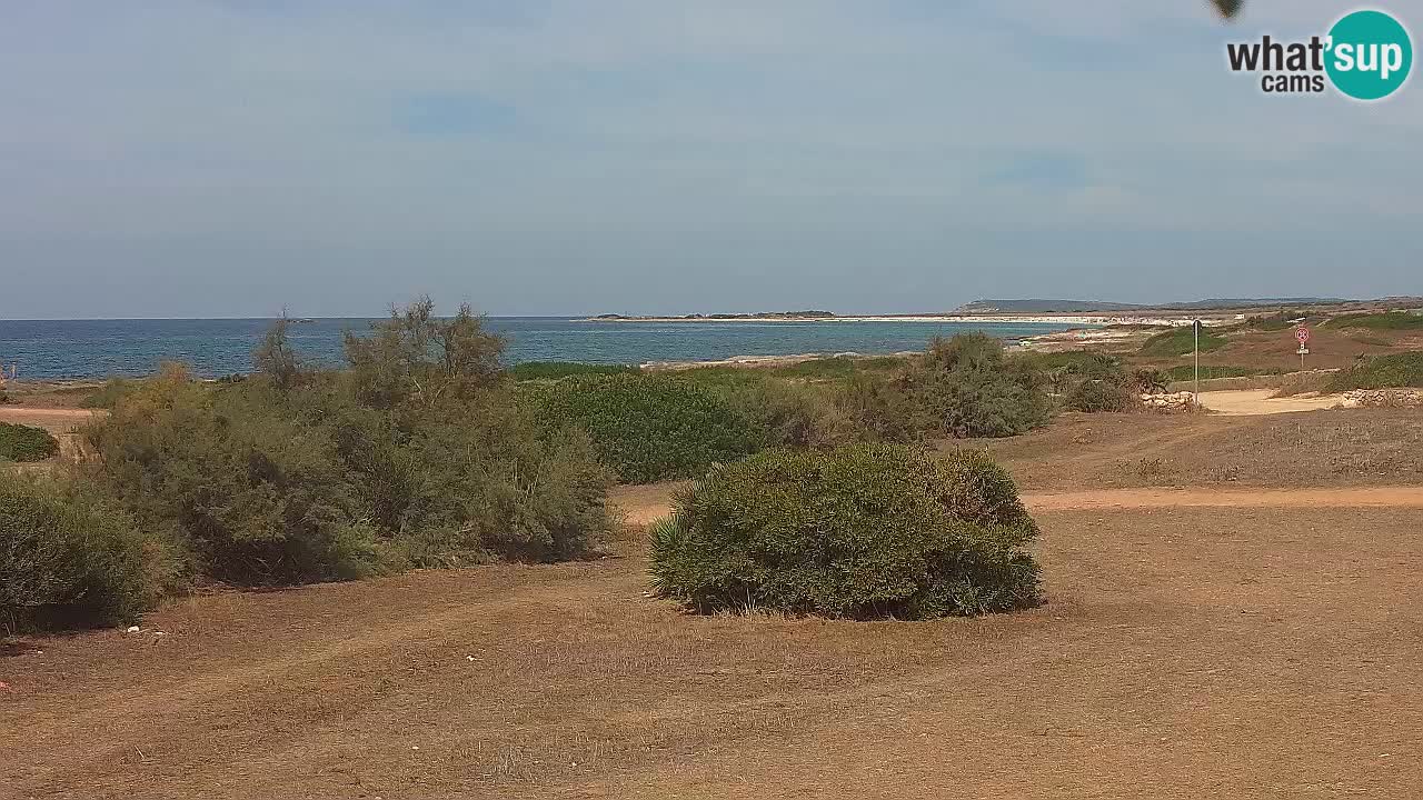 Mari Ermi beach | Is Arutas – Oristano