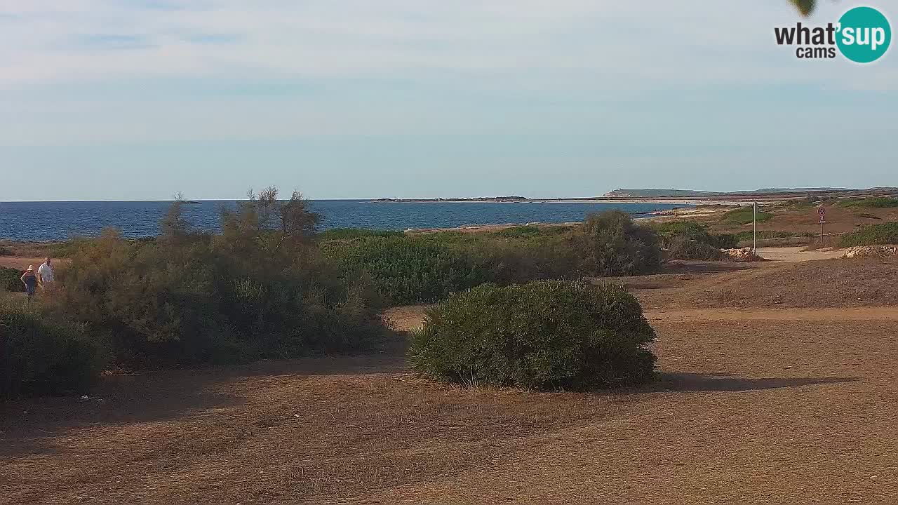 Plaža Mari Ermi | Is Arutas – Oristano