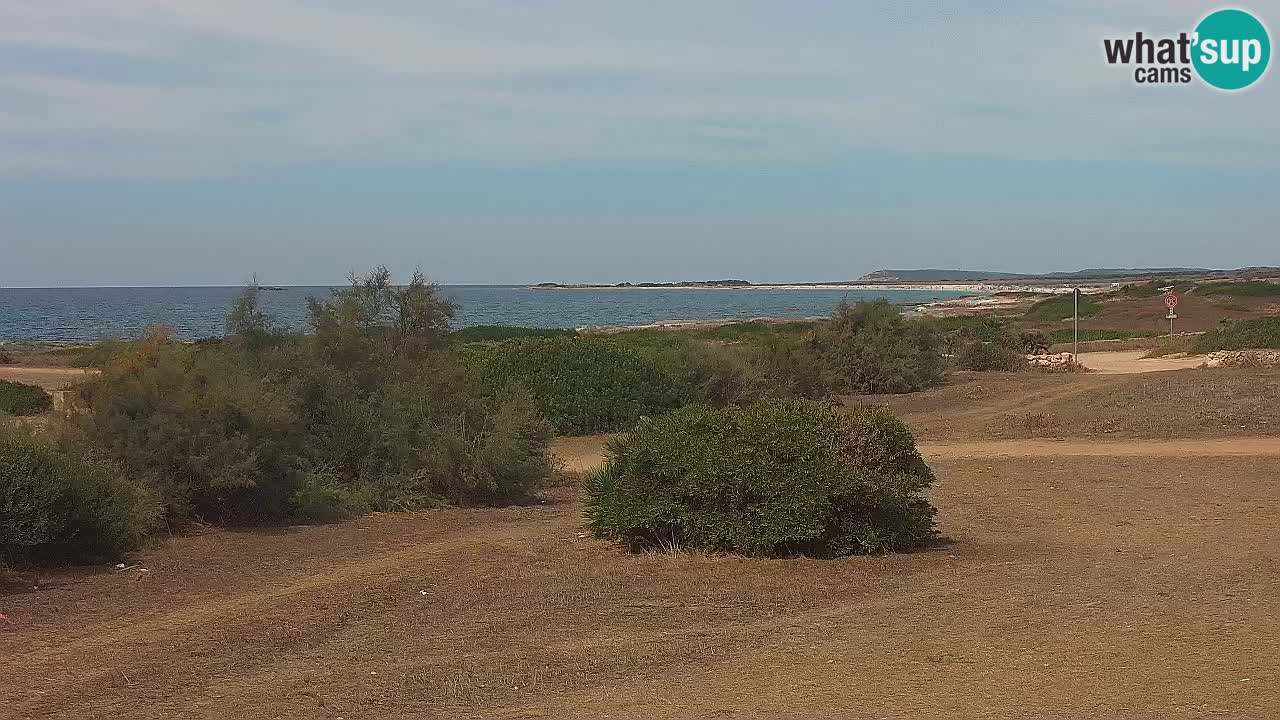 Playa Mari Ermi | Is Arutas – Oristano