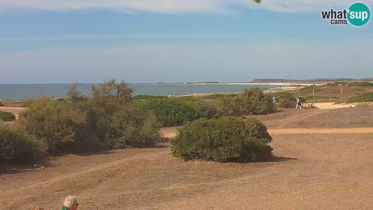 Plage Mari Ermi | Is Arutas – Oristano