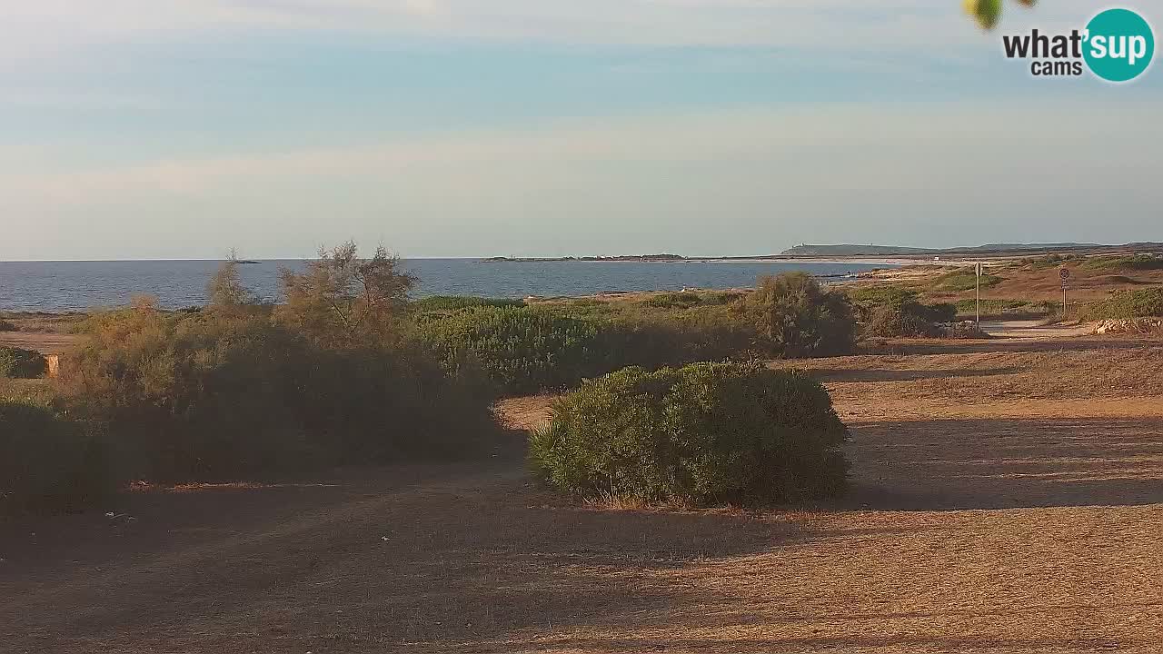 Mari Ermi Strand | Is Arutas – Oristano