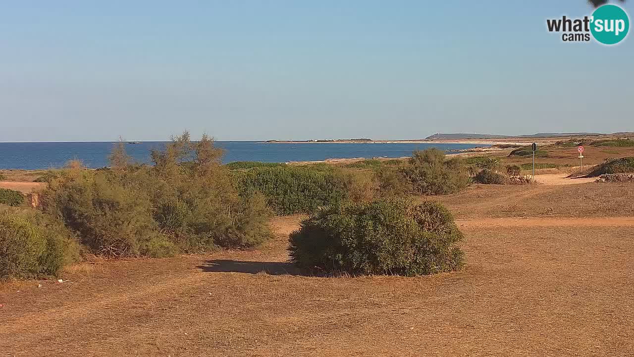 Playa Mari Ermi | Is Arutas – Oristano