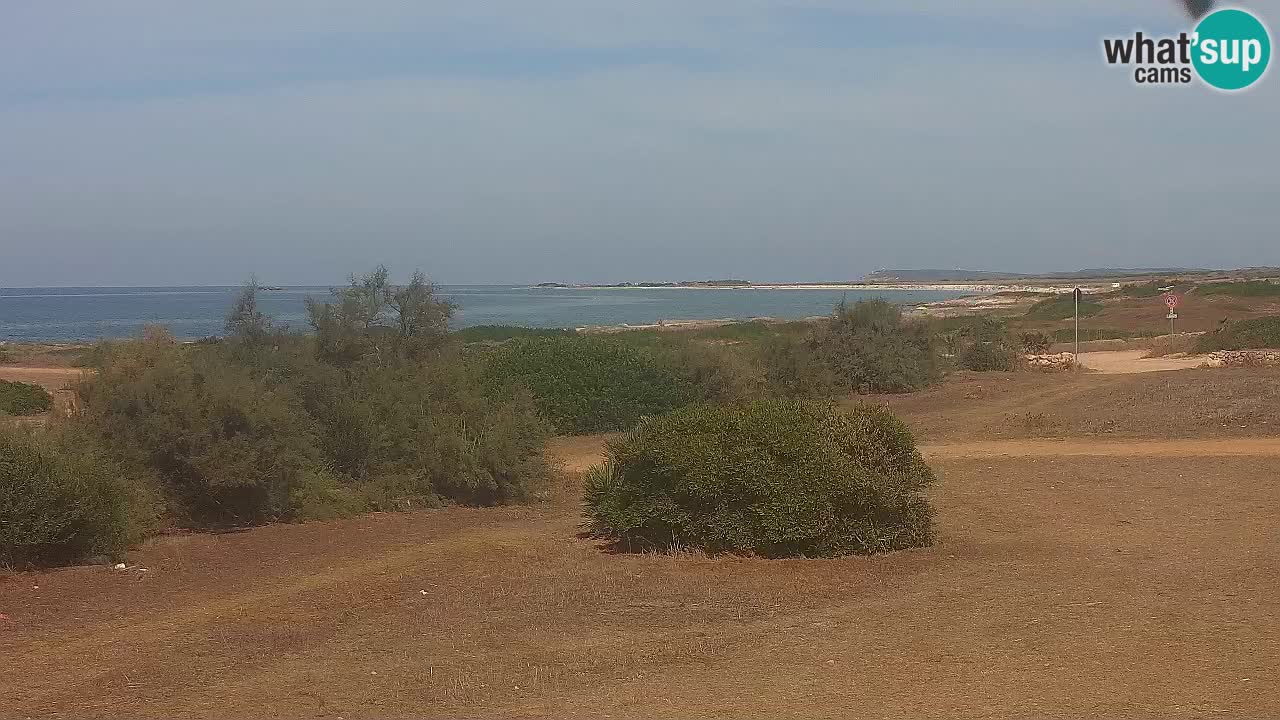Plage Mari Ermi | Is Arutas – Oristano