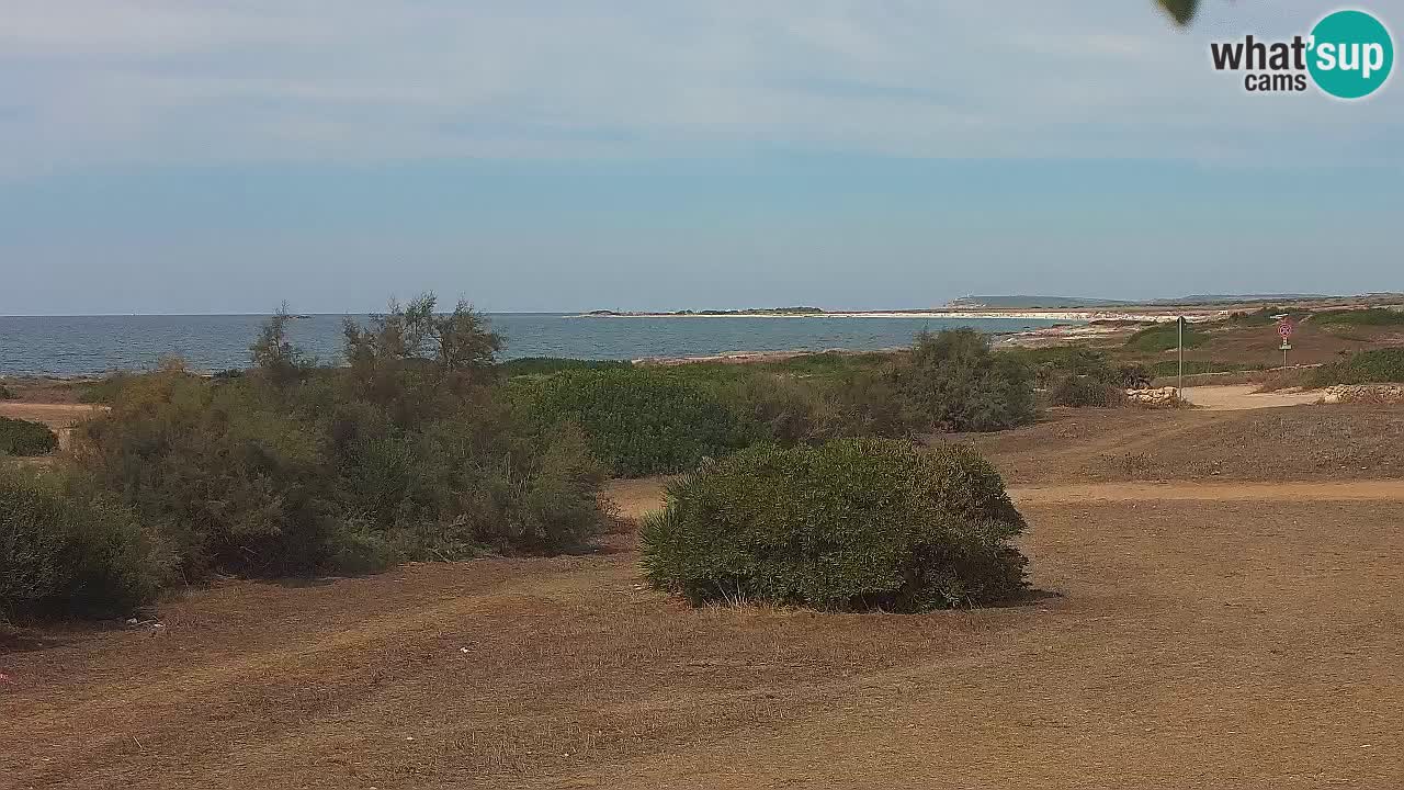 Playa Mari Ermi | Is Arutas – Oristano