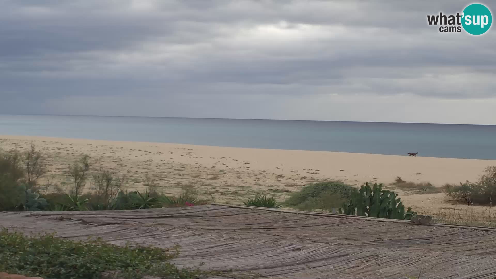 Marina di Orosei webcam – Strand in Sardinien – Italien