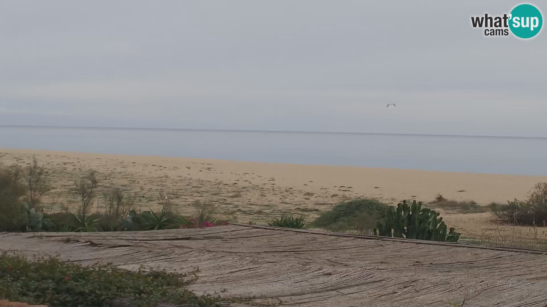 Marina di Orosei webcam – Strand in Sardinien – Italien