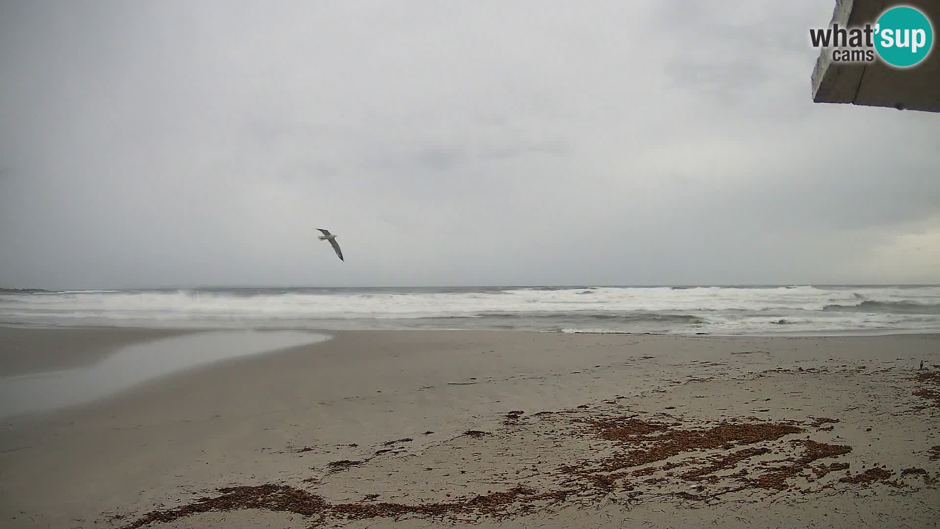 Cala Liberotto – Gulf of Orosei