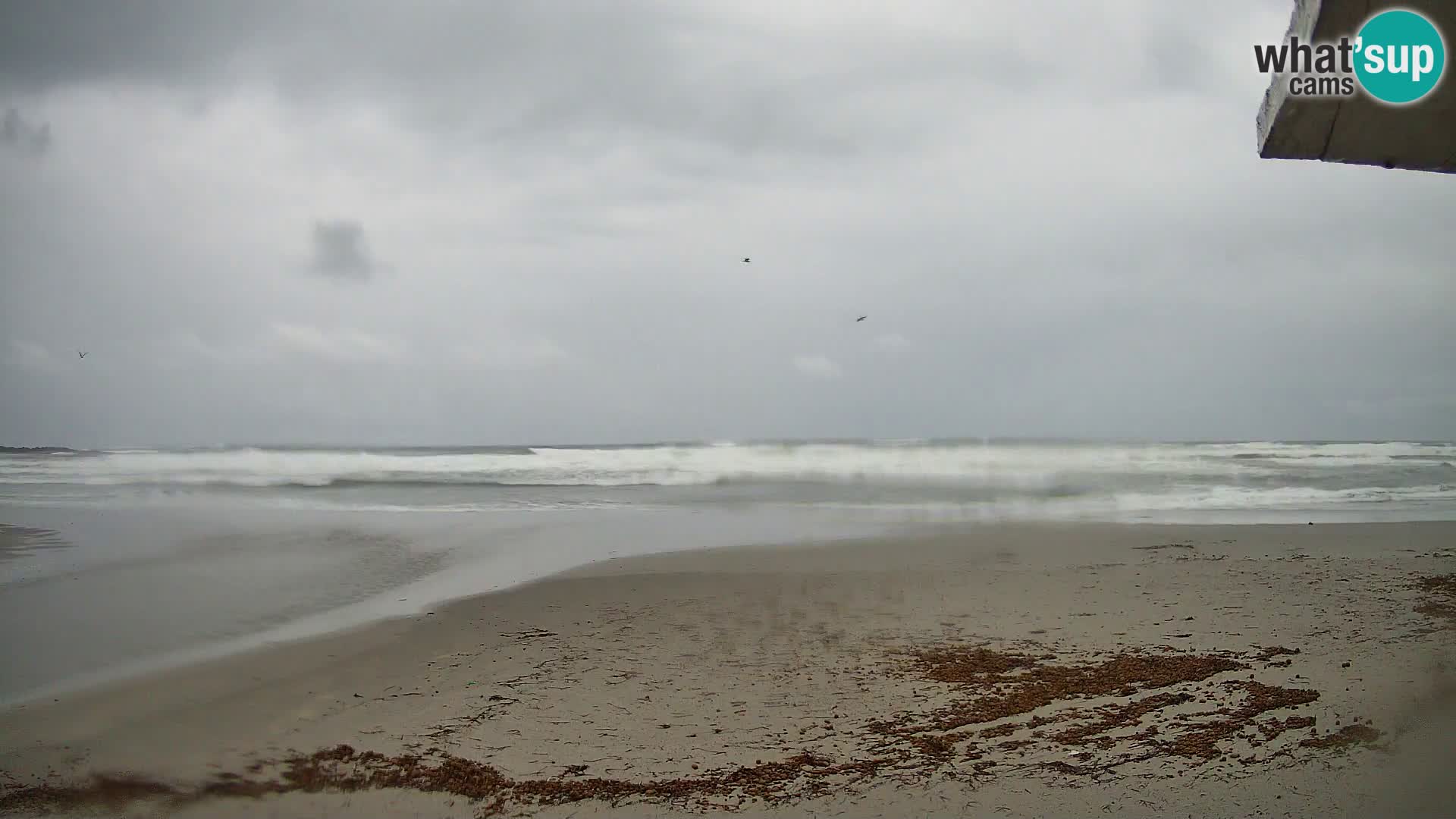 Cala Liberotto – Gulf of Orosei