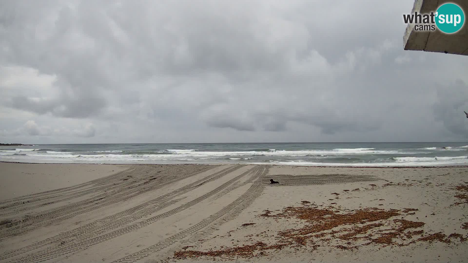 Cala Liberotto – Golfo Di Orosei