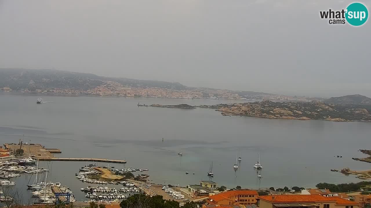 LIVE Sardinia Webcam Palau – Panoramic View