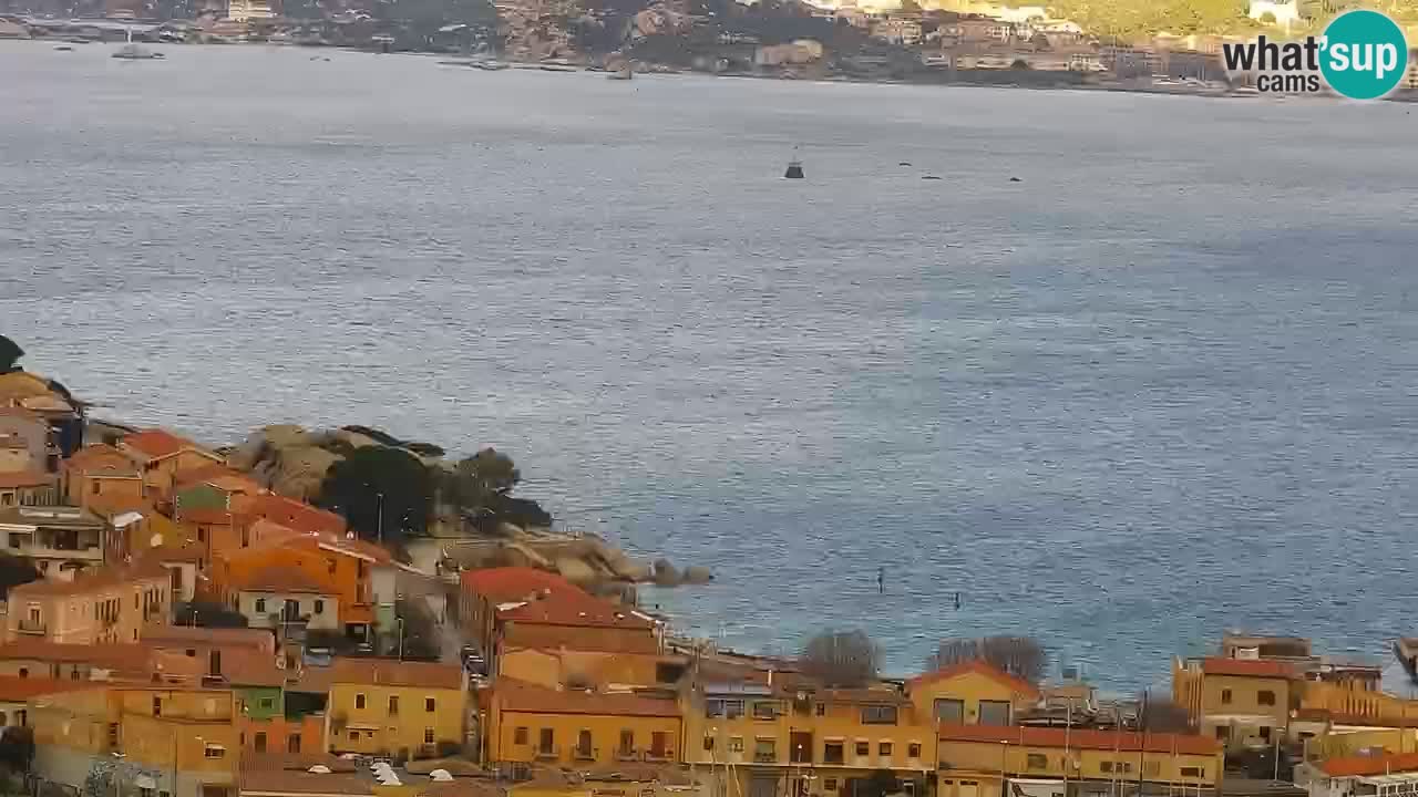 LIVE Sardinia Webcam Palau – Panoramic View