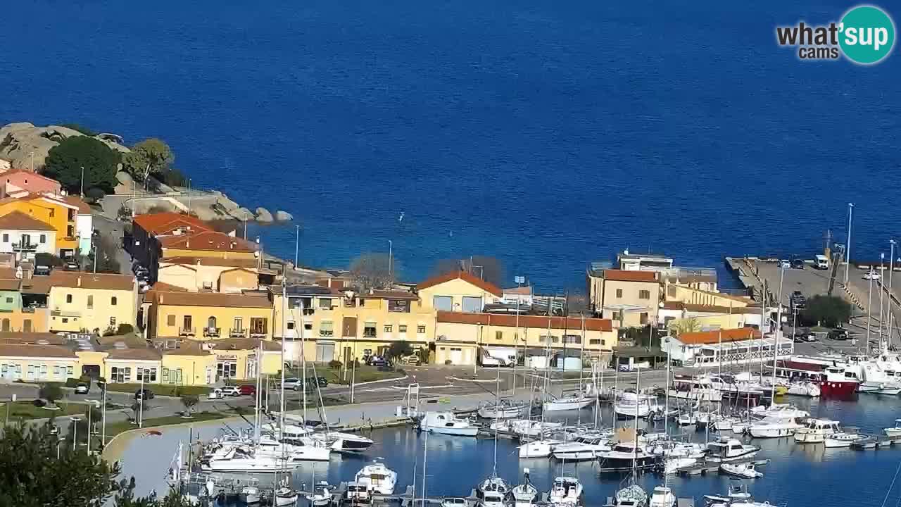 LIVE Sardinia Webcam Palau – Panoramic View