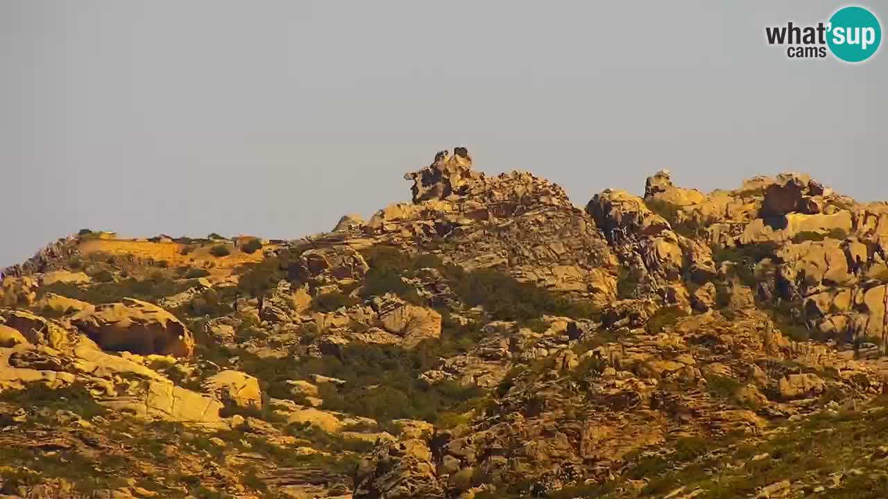 LIVE Sardinien webcam Palau – Panoramablick