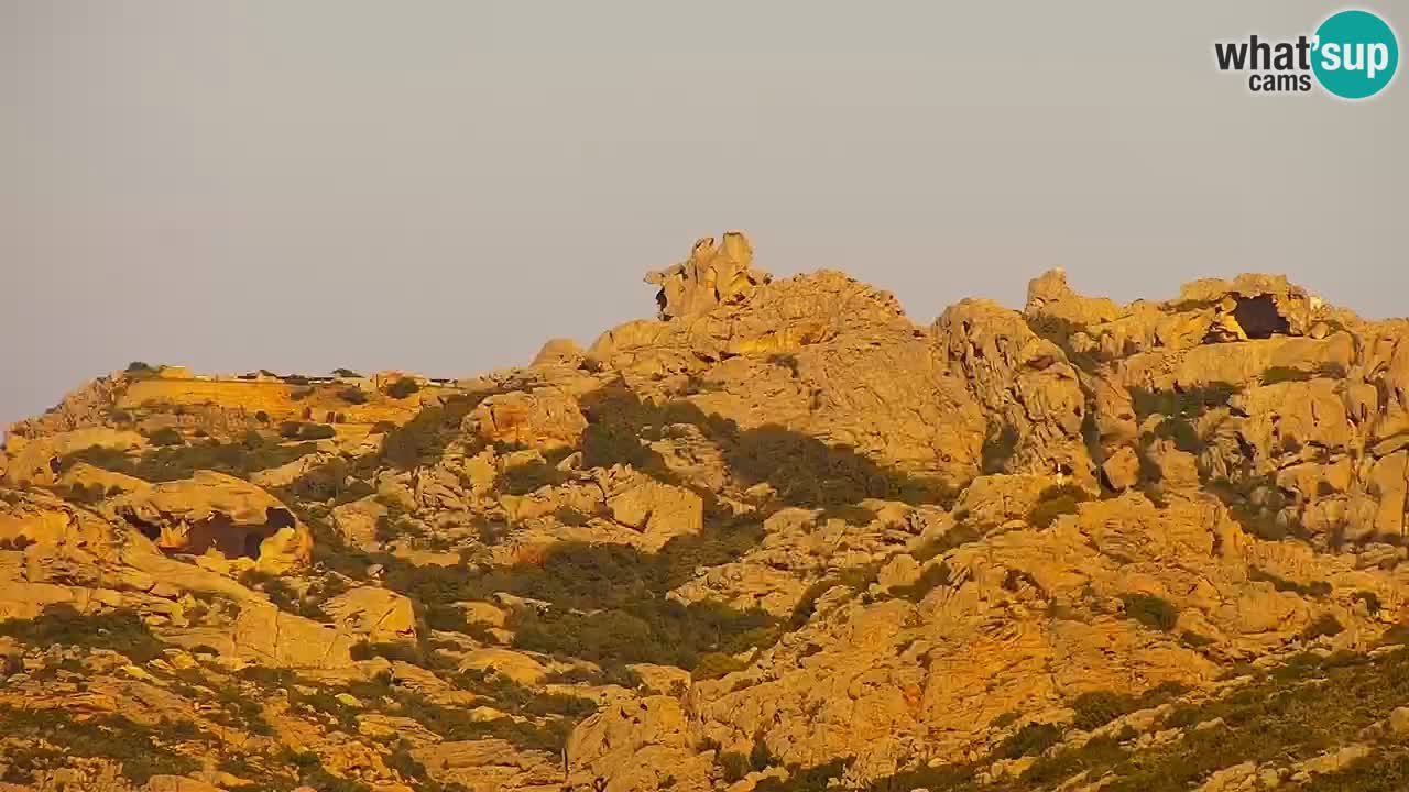 LIVE Sardinia webcam Palau – Panorama impresionante