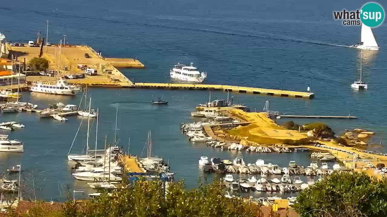 Sardinija v živo spletna kamera Palau – Panoramski pogled