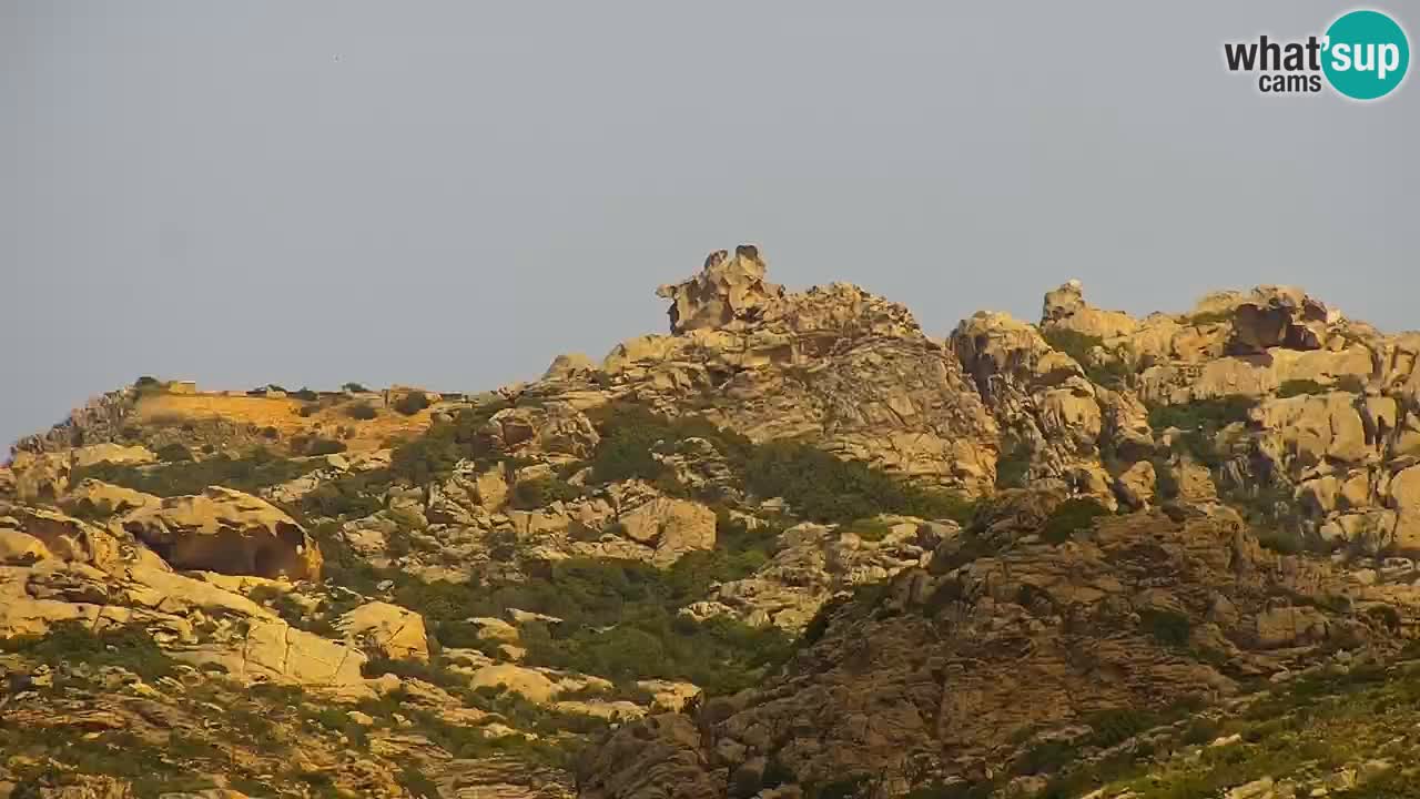 Sardinija u živo web kamera Palau – Panoramski pogled