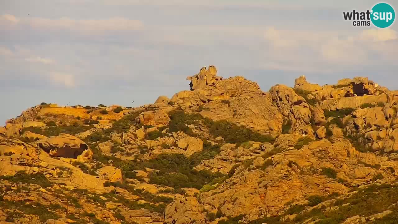 LIVE Sardinien webcam Palau – Panoramablick