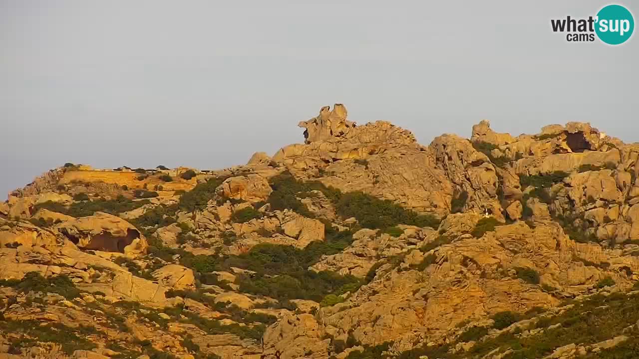 LIVE Sardinien webcam Palau – Panoramablick