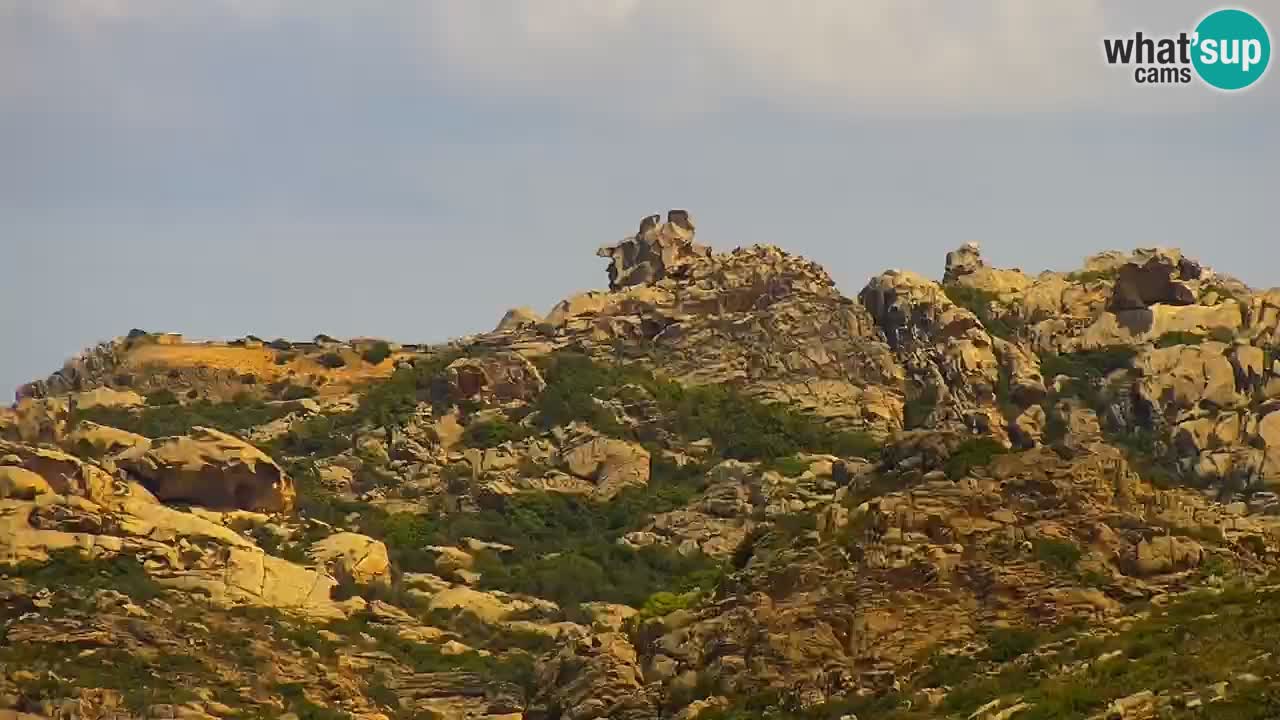 LIVE Sardinia webcam Palau – Panorama impresionante