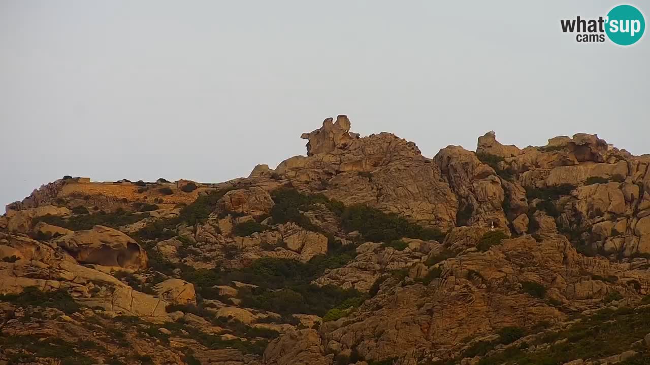 LIVE Sardegna webcam Palau – Stupendo panorama