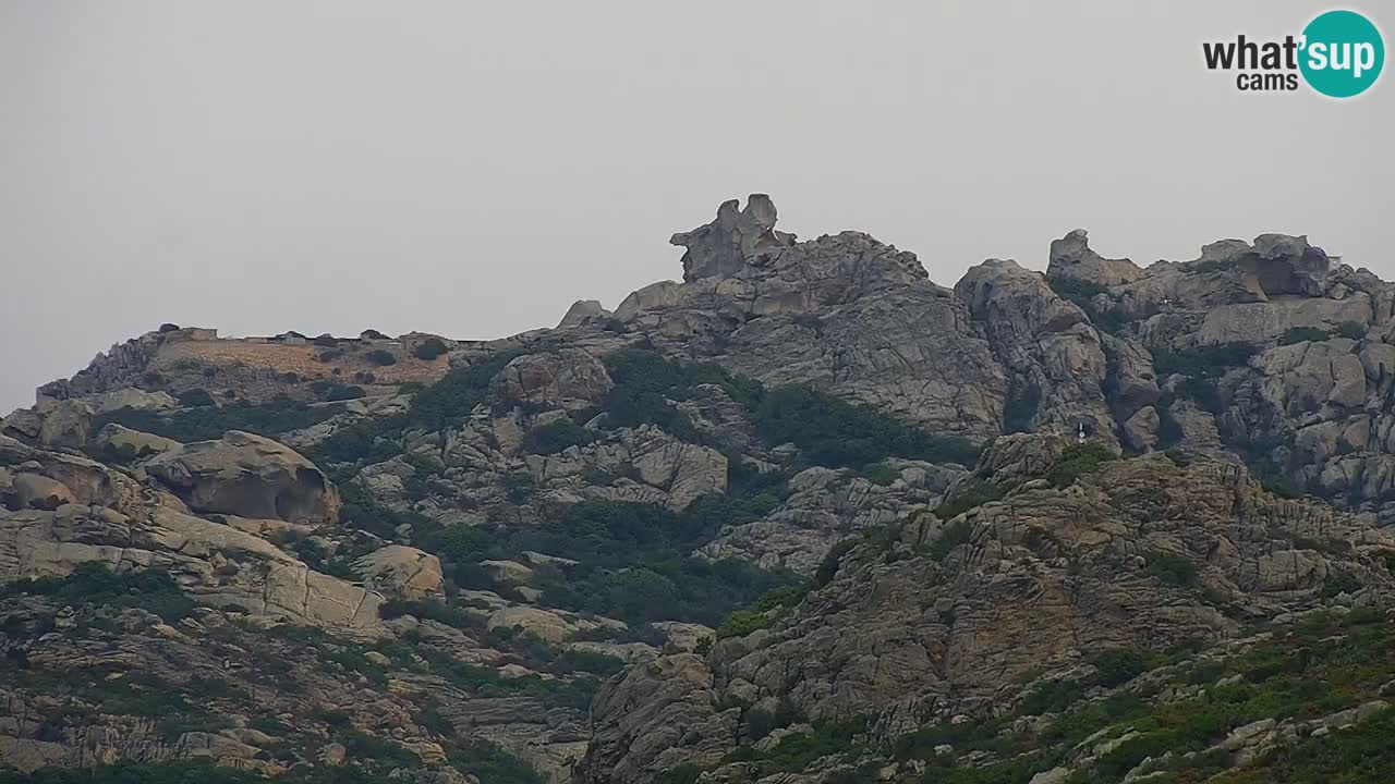 LIVE Sardinien webcam Palau – Panoramablick