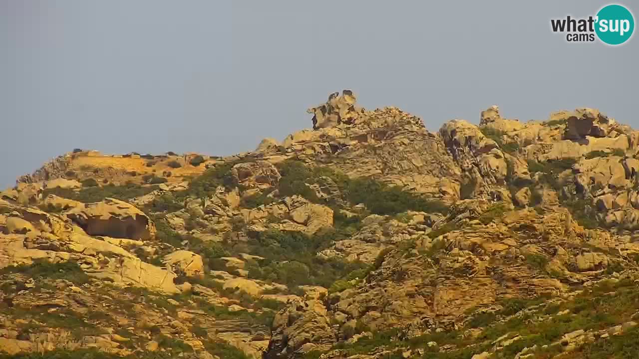 Sardinija v živo spletna kamera Palau – Panoramski pogled