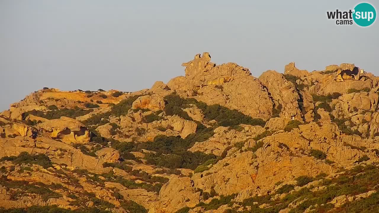 LIVE Sardinia Webcam Palau – Panoramic View