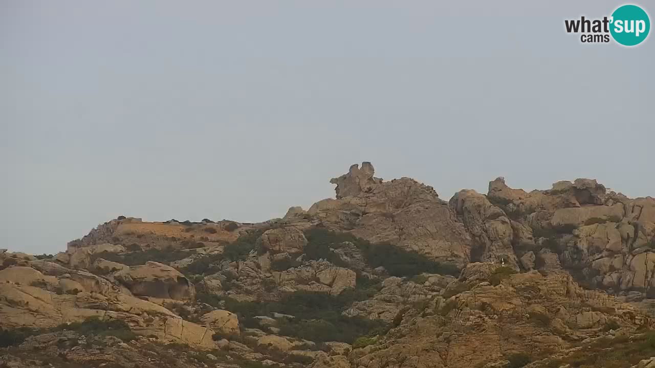 LIVE Sardinia webcam Palau – Panorama impresionante