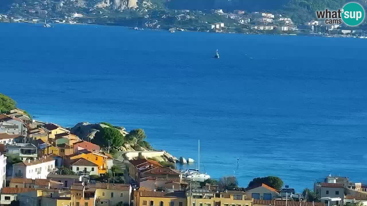 LIVE Sardinia Webcam Palau – Panoramic View