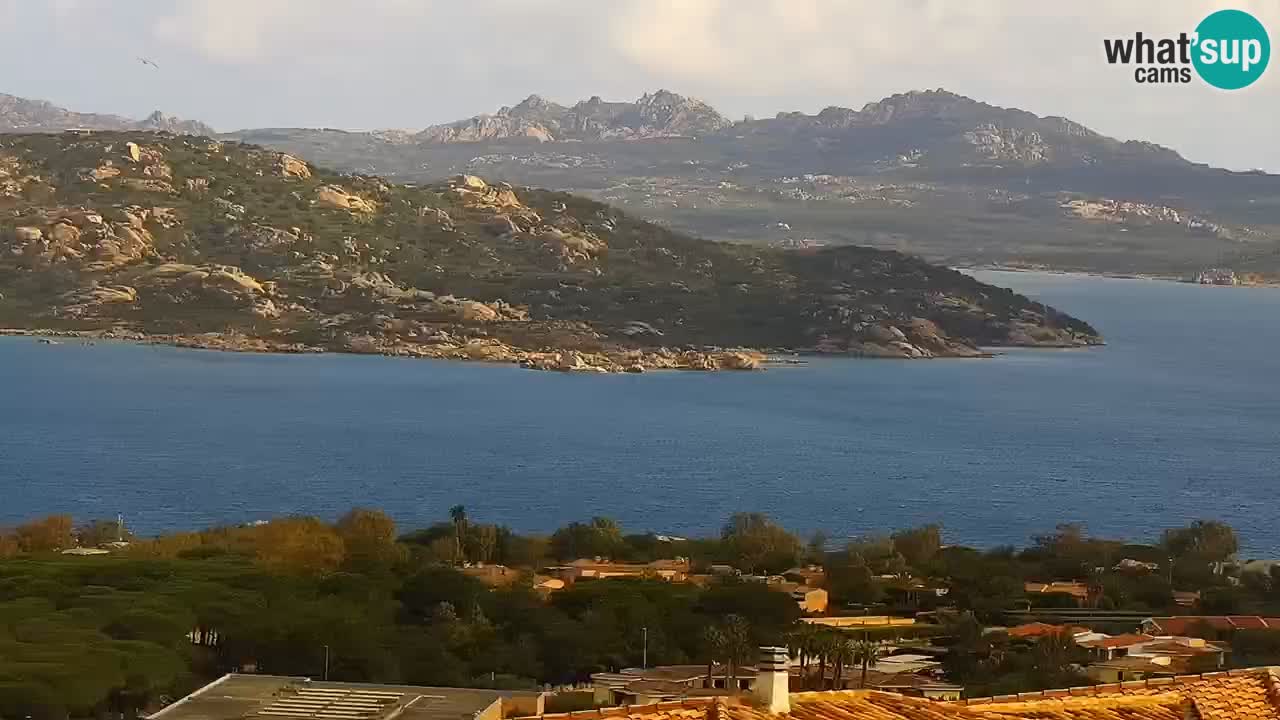 LIVE Sardinia webcam Palau – Panorama impresionante