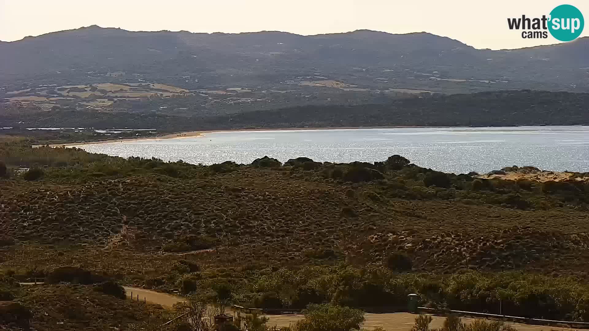 Webcam Porto Pollo spiaggia Sardegna livecam