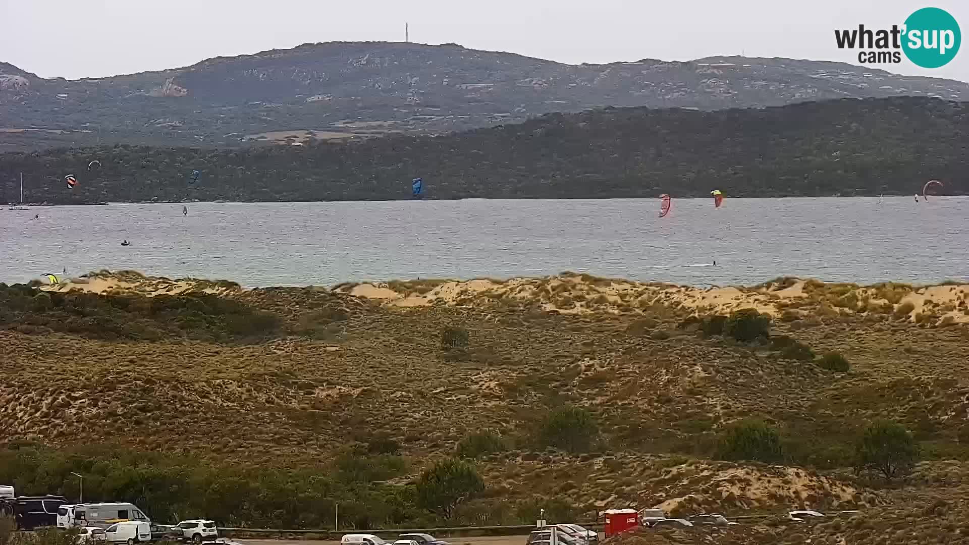 Camera en vivo Porto Pollo playa Cerdeña