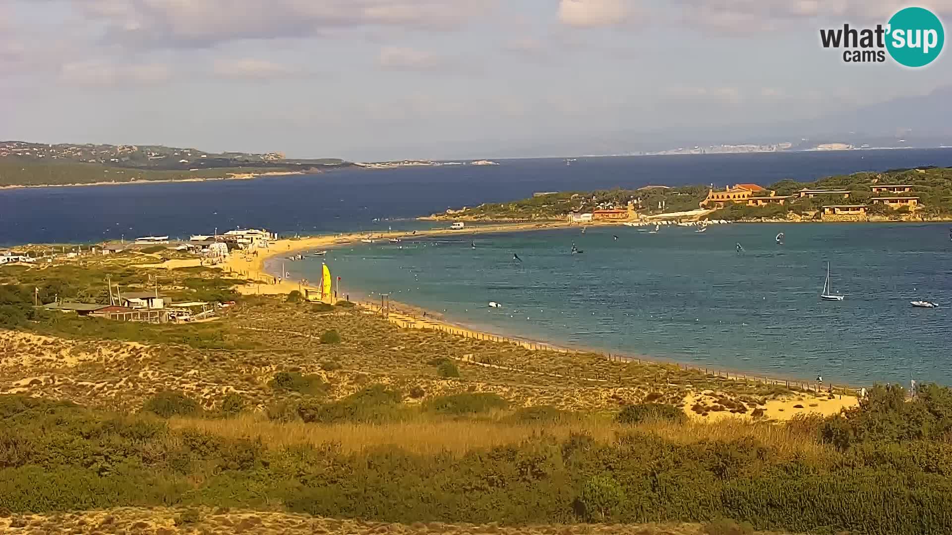 Camera en vivo Porto Pollo playa Cerdeña