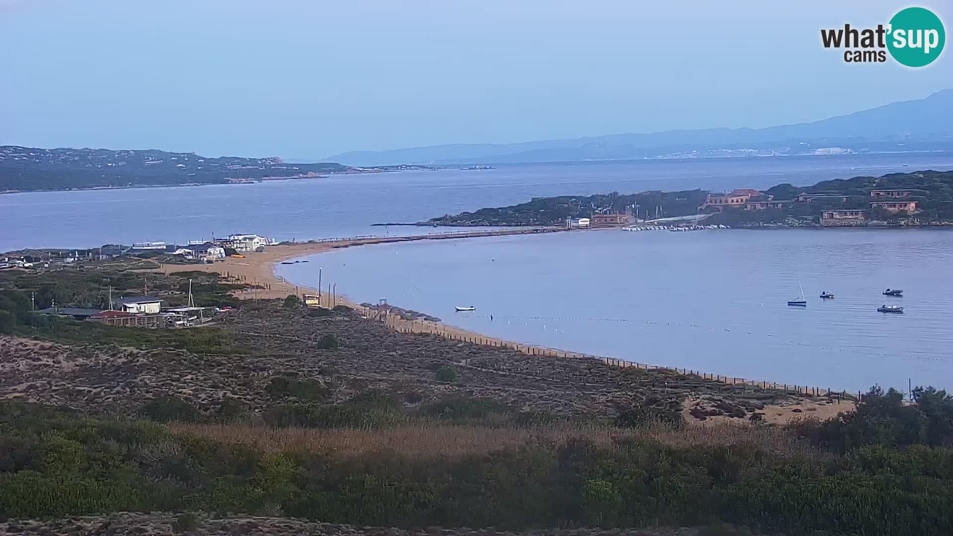 Webcam Porto Pollo spiaggia Sardegna livecam