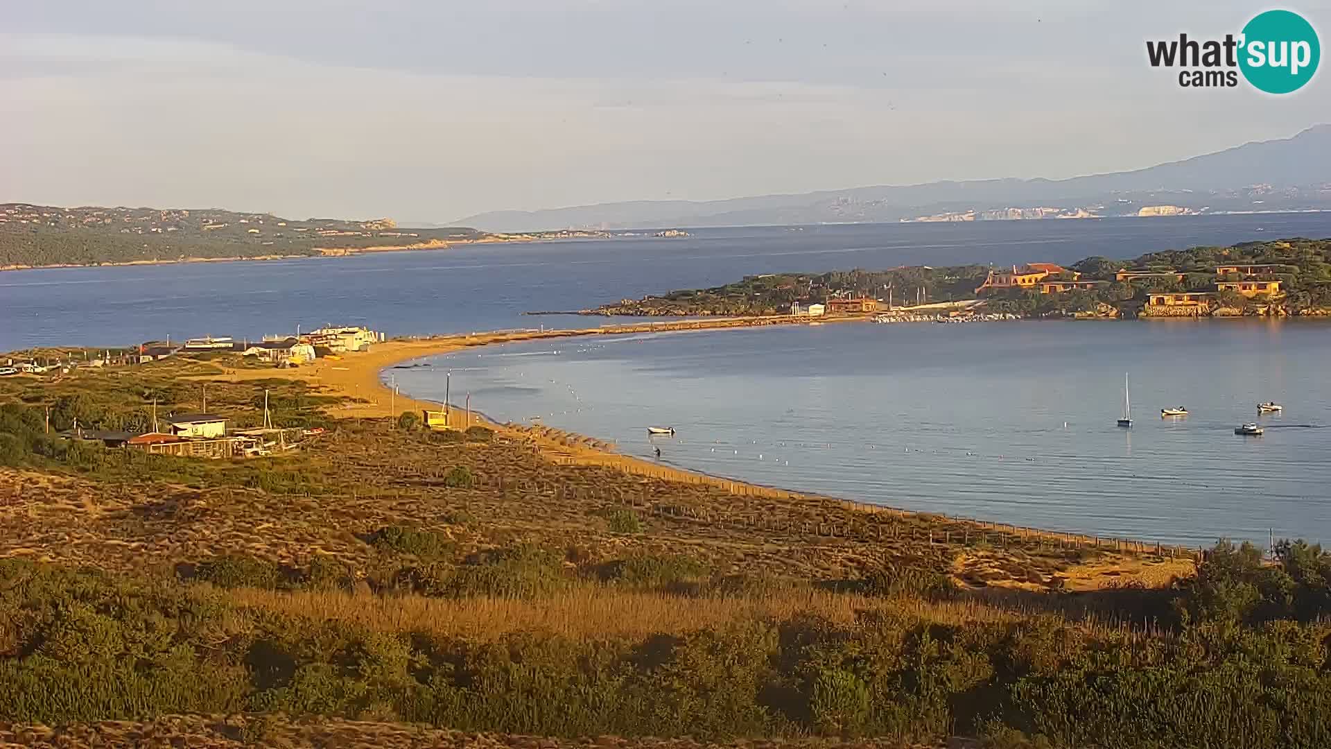 Camera en vivo Porto Pollo playa Cerdeña