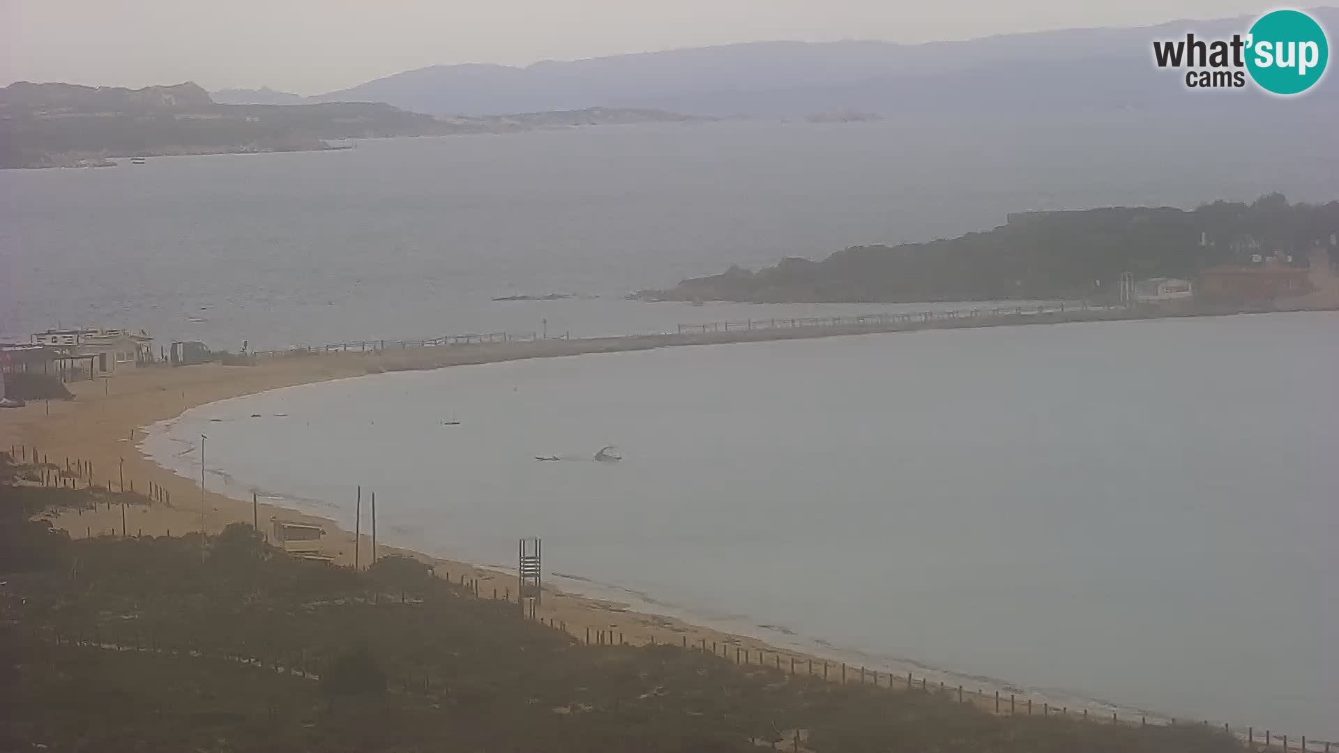 Webcam Porto Pollo le Dune | spiaggia Sardegna